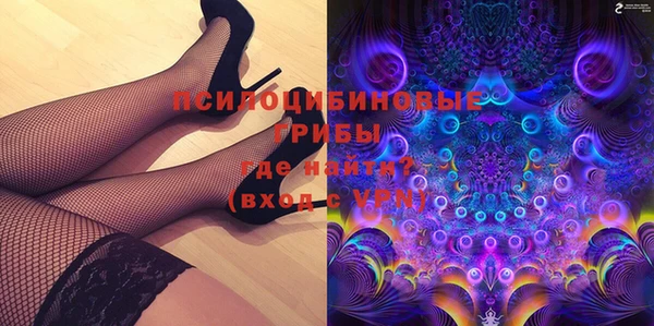 гидропоника Горняк