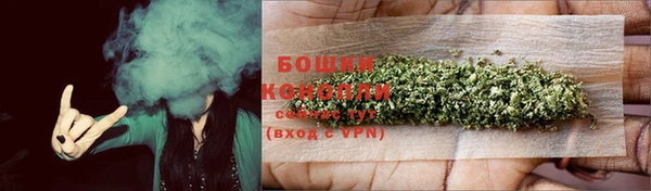 гидропоника Горняк