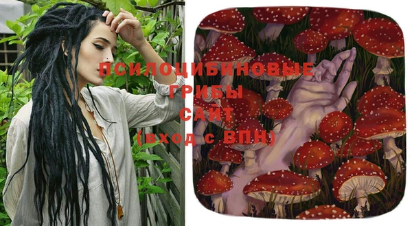 бошки Горнозаводск