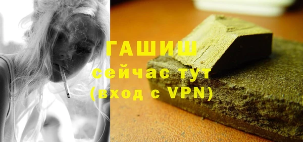 амф Гусев