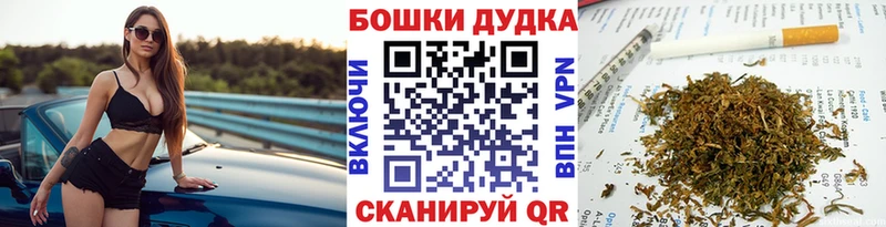 Бошки Шишки SATIVA & INDICA  Купить где  Камызяк 